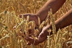 PM Kisan Yojana: આ ખેડૂતોના ખાતામાં નહી આવે પીએમ કિસાન યોજનાનો આગામી હપ્તો, જાણો કારણ