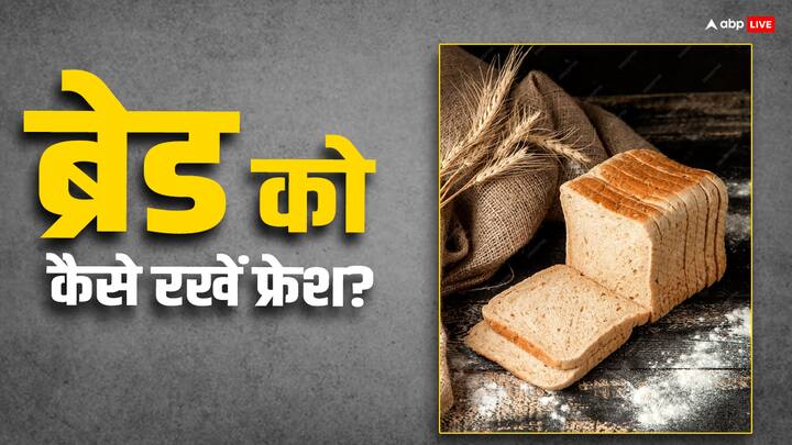 पोहा, उपमा के अलावा ब्रेड एक लोकप्रिय फूड आइटम है, जिसे भारतीय बड़े चाव से खाना पसंद करते हैं. चाहे सफेद ब्रेड, ब्राउन ब्रेड या फिर मल्टीग्रेन ब्रेड हो. लेकिन इसे फ्रेश रखना काफी बड़ा टास्क है.