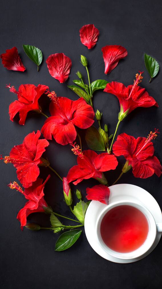 Hibiscus: A Natural Remedy For Health And Beauty Inside Out