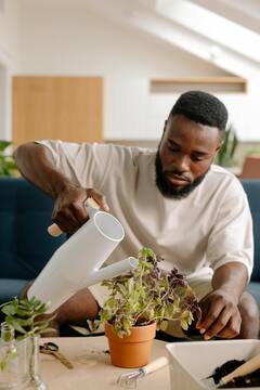 Yellowing of Leaves :झाडांची पाने पिवळी होतात ? ही आहेत कारणे !