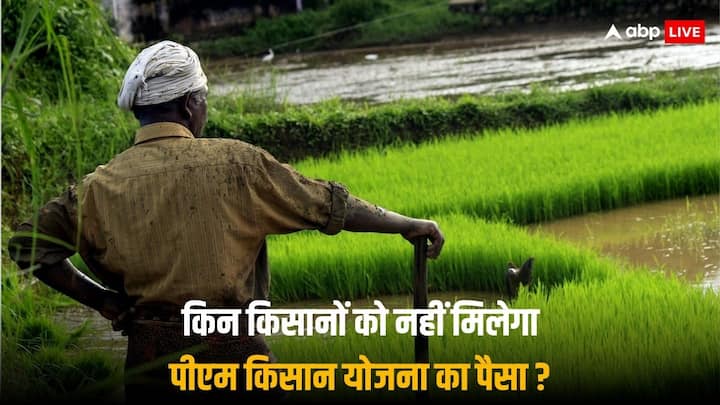 PM Kisan Yojana: पीएम किसान योजना की अगली किस्त मई या जून में आ सकती है, इससे पहले किसानों को सभी जरूरी चीजें पूरी कर लेनी चाहिए.