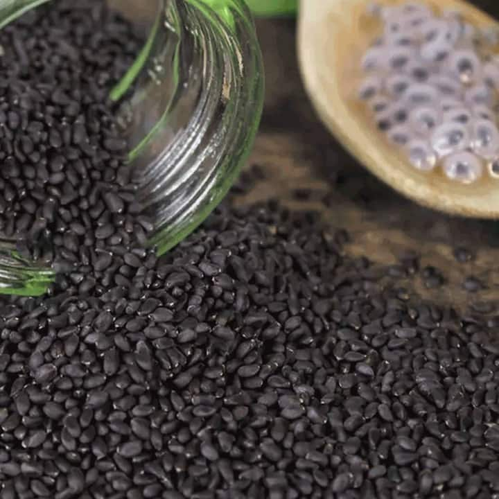 Basil Seed :  ਤੁਲਸੀ ਆਯੁਰਵੇਦ ਵਿੱਚ ਵੀ ਇੱਕ ਮਸ਼ਹੂਰ ਦਵਾਈ ਹੈ। ਇਸ ਦੀ ਵਰਤੋਂ ਕਈ ਬਿਮਾਰੀਆਂ ਤੋਂ ਛੁਟਕਾਰਾ ਪਾਉਣ ਲਈ ਵੀ ਕੀਤੀ ਜਾਂਦੀ ਹੈ। ਤੁਲਸੀ ਦਾ ਇੱਕ ਪੱਤਾ ਤੁਹਾਡੀਆਂ ਕਈ ਸਿਹਤ ਸਮੱਸਿਆਵਾਂ ਨੂੰ ਹੱਲ ਕਰ ਸਕਦਾ ਹੈ।