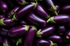 Brinjal Benefits: बैंगन खाने से शार्प होती है मेमोरी, यकीन ना हो तो पढ़ लें खबर