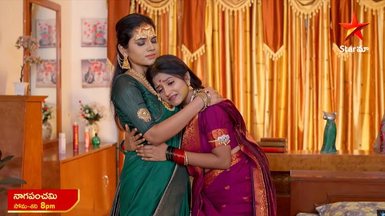 naga panchami serial today april 1st episode written update in telugu Naga Panchami Serial Today April 1st: 'నాగ పంచమి' సీరియల్: తనని కాపాడింది నాగేశ్వరి అని తెలిసి ఎమోషనలైన పంచమి.. కరాళి మాయకు పాము ముంగిసల కొట్లాట!