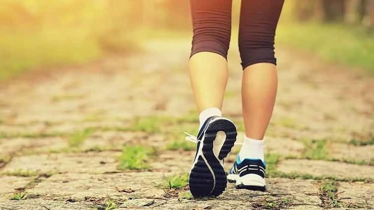 Lifestyle: Why morning walking is called more beneficial, this particular reason is associated with hormones health tips Early Morning Walk Benefits: સવારનું વોકિંગ કેમ કહેવાય છે વધારે ફાયદાકારક, હોર્મોન સાથે જોડાયેલું છે આ ખાસ કારણ
