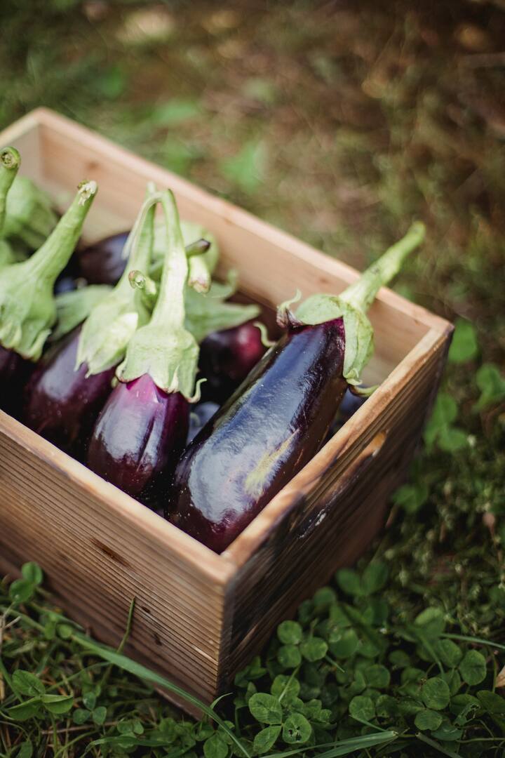 Brinjal contains magnesium.  Brinjal is very good for heart, bone and muscle and nerve related problems.  It contains magnesium in abundance.  (Photo credit: Pexel.com)