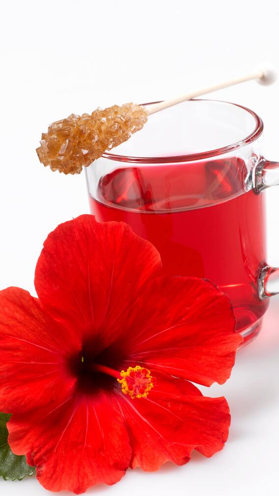 ਗੁੜਹਲ ਦੇ ਫੁੱਲਾਂ ਦੇ ਅਦਭੁਤ ਫਾਇਦੇ: ਸੁੰਦਰਤਾ ਤੋਂ ਸਿਹਤ ਤੱਕ ਇਕ ਕੁਦਰਤੀ ਖਜ਼ਾਨਾ