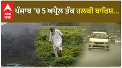 Punjab Weather Update|ਪੰਜਾਬ 'ਚ 5 ਅਪ੍ਰੈਲ ਤੱਕ ਹਲਕੀ ਬਾਰਿਸ਼...