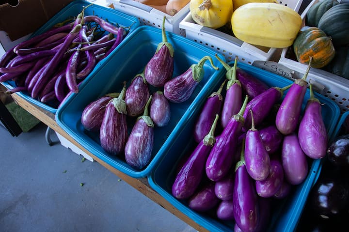 Which works to keep the entire body healthy.  Along with controlling BP, it is also good for nerves.  If you want to keep your BP under control then eat brinjal daily.  (Photo credit: Pexel.com)