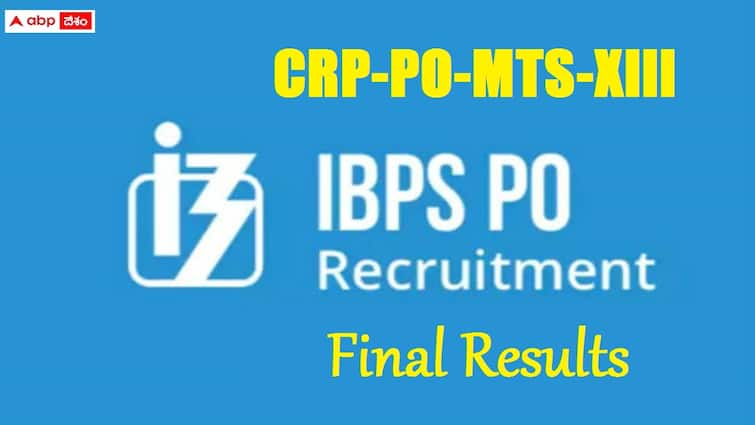institute of banking personnel selection has released ibps po  Final results check direct link here IBPS: ఐబీపీఎస్ పీవో తుది ఫలితాలు విడుదల, డైరెక్ట్ లింక్ ఇదే- భారీగా పెరిగిన ఖాళీల సంఖ్య