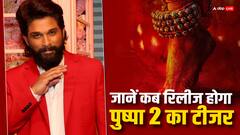 अल्लू अर्जुन ने फैंस को बर्थडे से पहले दिया खास तोहफा, सामने आया 'पुष्पा 2' पर बड़ा अपडेट