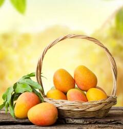 Health News: ਸਾਵਧਾਨ! ਗਲਤੀ ਨਾਲ ਫਲ ਦੇ ਨਾਮ 'ਤੇ ਖਰੀਦ ਤਾਂ ਨਹੀਂ ਰਹੇ ਜ਼ਹਿਰ? ਇੰਝ ਕਰੋ ਕੈਮੀਕਲ ਵਾਲੇ ਅੰਬਾਂ ਦੀ ਪਛਾਣ