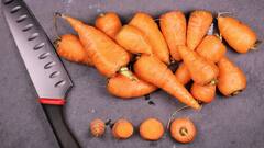 International Carrot Day:சர்வதேச கேரட் தினம். முக்கியத்துவம், வரலாறு - தெரிஞ்சிக்கோங்க!