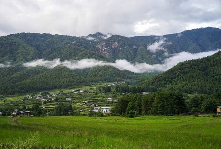 भूटान के इस टूर के जरिए आपको ऑक्यूपेंसी के हिसाब से शुल्क देना होगा. सिंगल ऑक्यूपेंसी के लिए आपको प्रति व्यक्ति 1,01,1000 रुपये देना होगा. वहीं डबल ऑक्यूपेंसी पर आपको 85,400 रुपये और ट्रिपल ऑक्यूपेंसी पर 83,500 रुपये प्रति व्यक्ति के हिसाब से शुल्क देना होगा.