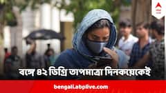 বঙ্গে ৪০ থেকে ৪২ ডিগ্রি তাপমাত্রা দিনকয়েকেই, ৩৭ পেরোল কলকাতার পারদ