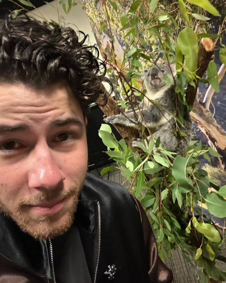 2018ம் ஆண்டு திருமணம் செய்து கொண்ட இந்த காதல் ஜோடி அவரவரின் இலக்குகளை அடைய தவறவில்லை.  நிக் Sloth  உடன் எடுத்துகொண்ட புகைப்பட்டத்தை பகிந்துள்ளார்.