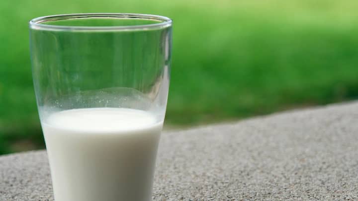 Cow's Milk Benefits :तुम्हाला माहीत आहे का गायीचे ताजे दूध आरोग्यासाठी भरपूर फायदेशीर आहे.