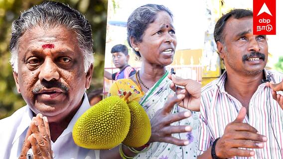 OPS in Ramanathapuram | பலாப்பழம் பழுக்குமா? OPS - க்கு ஆதரவு இருக்கா?ராமநாதபுரம் Ground Visit