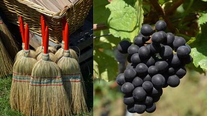 grapes wash tips and new broom dust remove tips House Hold Tips: இட்லி மிருதுவாக வர, ஜீன்ஸ் பேண்டை தைக்க - இதோ எளிய டிப்ஸ்