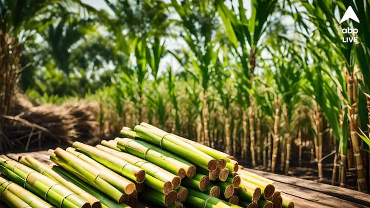 গরমকালের তীব্র দাবদাহ থেকে বাঁচার জন্য আখের রস সেরা। এটি নিয়মিত খেলে ডিহাইড্রেশনের ভয় থাকে না।(ছবি সৌজন্য - পিক্স্যাবে)