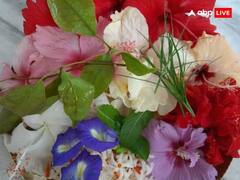 Shani Dev: शनि देव को बहुत पसंद है यह फल, इसको चढ़ाने से हर मुश्किल होगी आसान