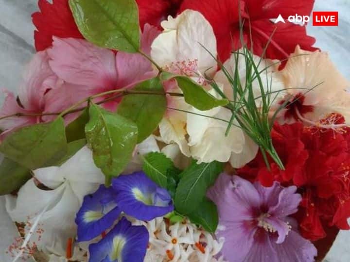 सभी देवी देवताओं को उनके प्रिय फल-फूल चढ़ाए जाते हैं. ऐसी मान्यता है कि बिना फूल को चढ़ाए पूजा को पूरा नहीं माना जाता है.