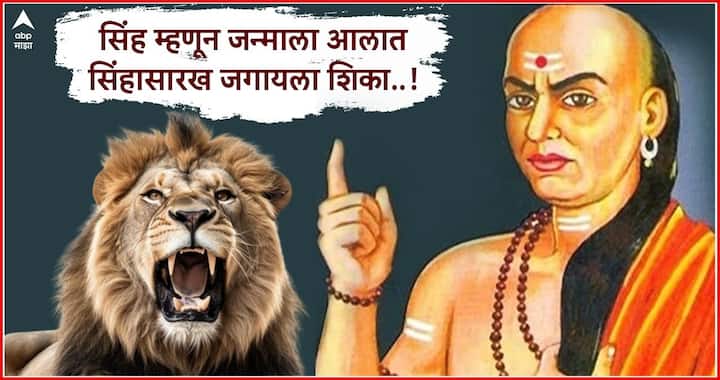 Chanakya Niti Learn Four Things From Lion to become Successful in Life Success Keys Mantra Marathi News Chanakya Niti:  सिंह म्हणून जन्माला आलात सिंहासारख जगायला शिका..!  चाणक्य म्हणतात,जंगलाच्या राजाकडून शिका 'या'चार  गोष्टी, मिळेल घवघवीत यश
