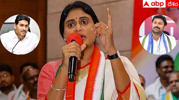 APPCC Chief YS Sharmila sensational comments against Avinash Reddy and YS Jagan YS Sharmila: హంతకులు చట్టసభలకు వెళ్లొద్దు, హత్యా రాజకీయాలకు చెక్ పెడదామని షర్మిల పిలుపు