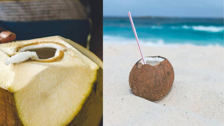 Coconut water for weight loss 6 ways it can help you shed kilos Weight loss Journey: இளநீர் உடல் எடையை குறைக்க உதவுமா? நிபுணர்கள் சொல்வது என்ன?