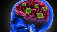 High BP: हाई बीपी बन सकता है ब्रेन हेमरेज का कारण? जानें क्या कहते हैं डॉक्टर