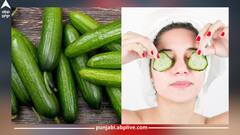 Cucumber Benefits: ਚਿਹਰੇ ਤੋਂ ਲੈ ਕੇ ਸਿਹਤ ਲਈ ਵਰਦਾਨ ਖੀਰਾ, ਜਾਣੋ ਇਸ ਦੇ ਫਾਇਦੇ