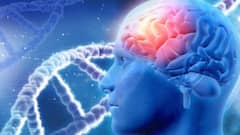 दिल्ली: दिमाग की चोट से पीड़ित मरीज की अब घर में हो सकेगी देखभाल, इन हॉस्पिटल के डॉक्टरों ने तैयार किया खास मैन्युअल