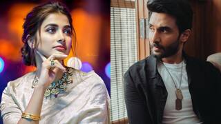 actress Pooja Hegde spotted with  bazaar actor rohan mehra in car Pooja Hegde: காதலில் விழுந்த பூஜா ஹெக்டே? சல்மான் கான் இல்லை, ஆனால் வேறு பாலிவுட் நடிகருடன் உலா!
