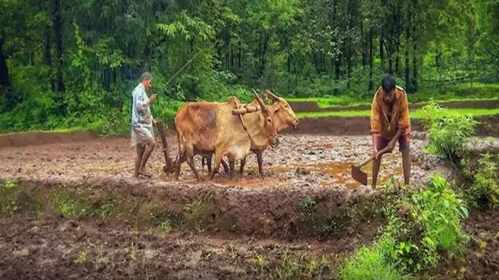 દિલ્હીથી મસૂરી જવા માટે બસ અને ટ્રેન સરળતાથી ઉપલબ્ધ છે. તમે તમારા જીવનસાથી સાથે અહીં જઈ શકો છો. અહીં રહેવા અને ફરવા માટે તમારે વધારે પૈસાની જરૂર નહીં પડે. તમે સ્કૂટર ભાડે લઈને તમારા પાર્ટનર સાથે અહીં આરામથી ફરવા જઈ શકો છો.