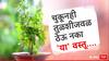 Vastu Tips : 'निज पत्राहुनि लघुतर त्रिभुवन अशी माय तुळशी', चुकूनही तुळशीजवळ ठेऊ नका 'या' वस्तू; अन्यथा येईल अठरा विश्वे दारिद्र्य