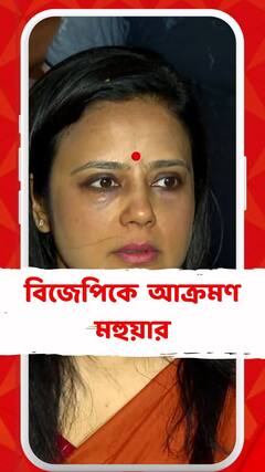 'আমাদের যেমন মহিলা, ছাত্র-যুব সংগঠন আছে, BJP-র সেরকম ED, CBI, NIA আছে', আক্রমণ মহুয়ার
