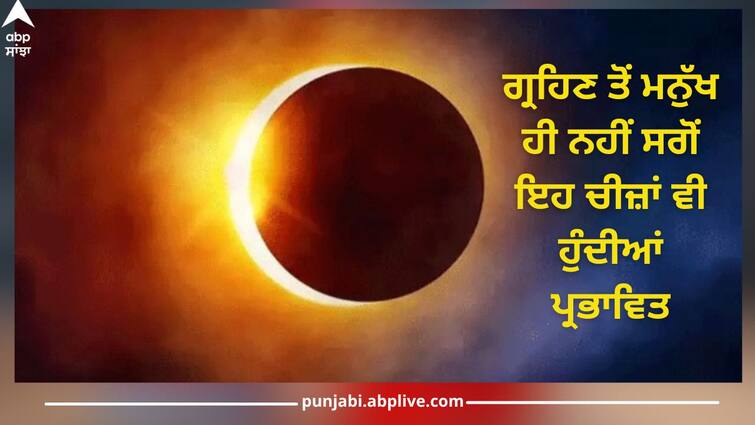 suryan grahan 2024 effect of solar eclipse on human bird animal insects abpp Surya Grahan 2024: ਗ੍ਰਹਿਣ ਤੋਂ ਮਨੁੱਖ ਹੀ ਨਹੀਂ ਸਗੋੋਂ ਇਹ ਚੀਜ਼ਾਂ ਵੀ ਹੁੰਦੀਆਂ ਪ੍ਰਭਾਵਿਤ