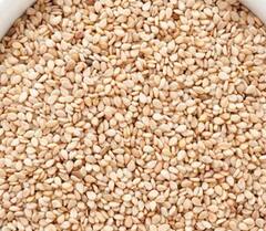 Health News: ਸਰੀਰ 'ਚ ਵਧਦੀ ਬਲੱਡ ਸ਼ੂਗਰ ਨੂੰ ਕੰਟਰੋਲ ਕਰਨ ਦੇ ਲਈ ਇਹ ਬੀਜ ਵਰਦਾਨ