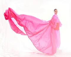 जिनिलिया देशमुखला एक मराठमोळा पदार्थ प्रचंड आवडतो; जाणून घेऊया!