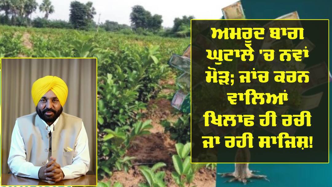 new twist in guava scam satnam singh daun wrote letter to cm mann Guava 'scam': ਅਮਰੂਦ ਬਾਗ ਘੁਟਾਲੇ 'ਚ ਨਵਾਂ ਮੋੜ; ਜਾਂਚ ਕਰਨ ਵਾਲਿਆਂ ਖਿਲਾਫ ਹੀ ਰਚੀ ਜਾ ਰਹੀ ਸਾਜਿਸ਼! CM ਨੂੰ ਪਹੁੰਚੀ ਚਿੱਠੀ