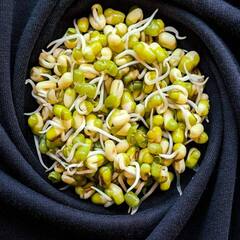 Moong Dal : ਇੱਕ ਮੁੱਠੀ ਇਸ ਦਾਲ ਦੇ ਨਾਲ ਕਰੋ ਦਿਨ ਦੀ ਸ਼ੁਰੂਆਤ, ਸਰੀਰ ਨੂੰ ਮਿਲਣਗੇ ਜਬਰਦਸਤ ਫਾਇਦੇ