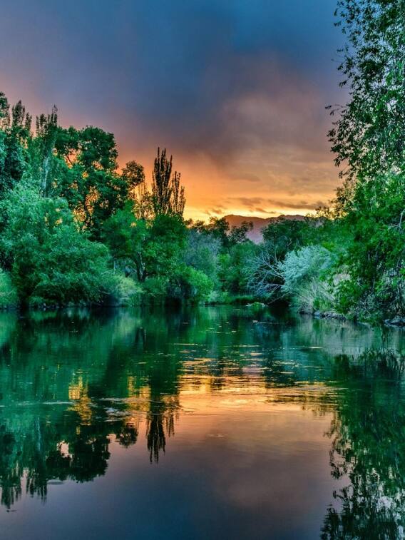 यूपी के इस जिले से होती है यमुना नदी की एंट्री