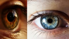 మీ కళ్లు ఏ రంగులో ఉంటాయి? నీలిరంగు కళ్లు ఎందుకు వస్తాయో తెలుసా? 