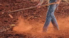 पीएम किसान योजना की 17वीं किस्त का लाभ पाने के लिए तुरंत कर लें ये काम