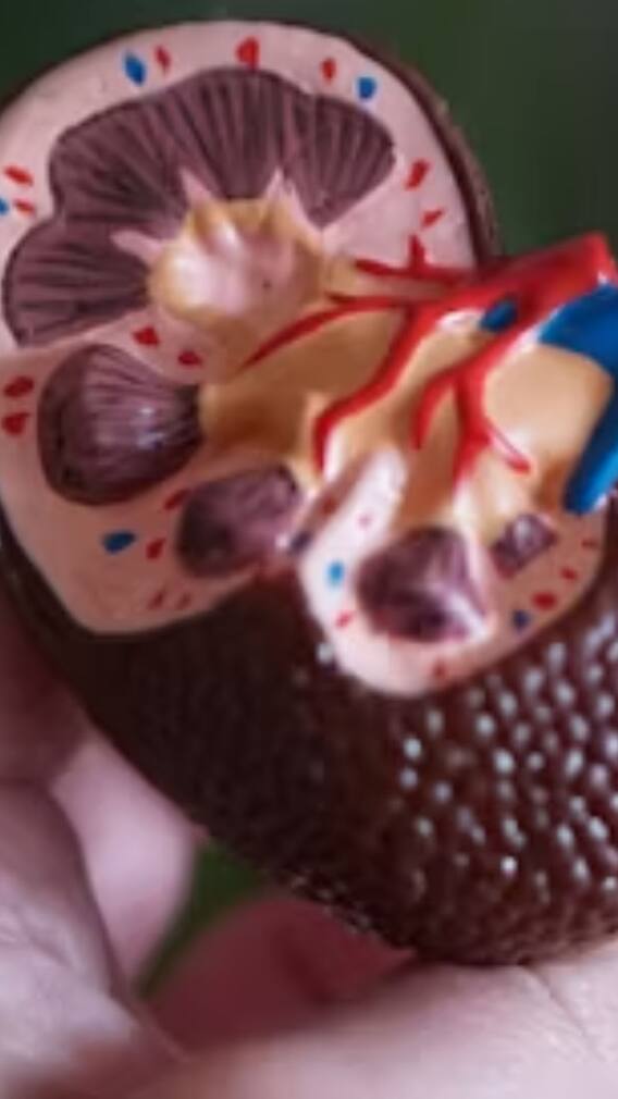 சிறுநீரக நோயாளிகள் ஸ்ட்ராபெர்ரிகளை உண்ணலாமா?