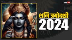 शनि त्रयोदशी आज, शनि देव की कृपा पाने के लिए कर सकते हैं इस दिन ये आसान उपाय