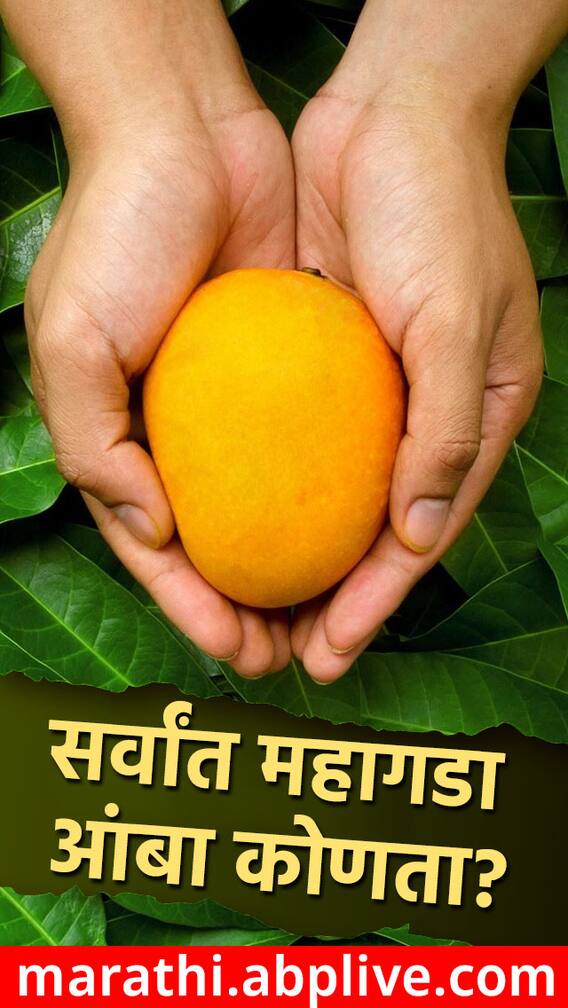 सर्वात महागड्या आंब्याचा दर काय?