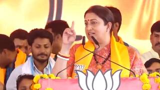 Election 2024: 'पहले माथे पर तिलक और राम नाम था अभिशाप, अमेठी वालों से पूछो किस्सा,' वायनाड में राहुल ने भरा पर्चा तो स्मृति ईरानी ने बोला हमला
