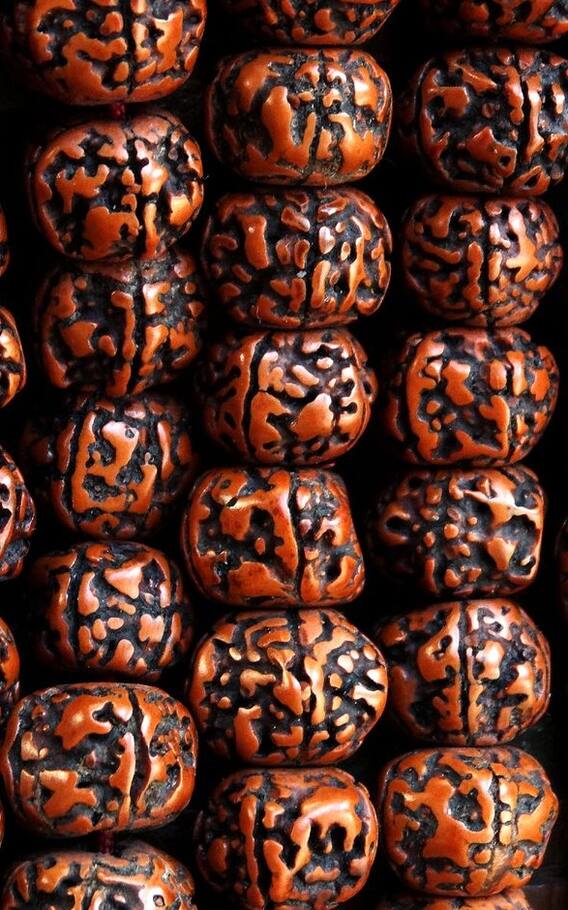 પંચમુખી રૂદ્રાક્ષ  ધારણ કરવાના અદભૂત લાભ અને નિયમ જાણો