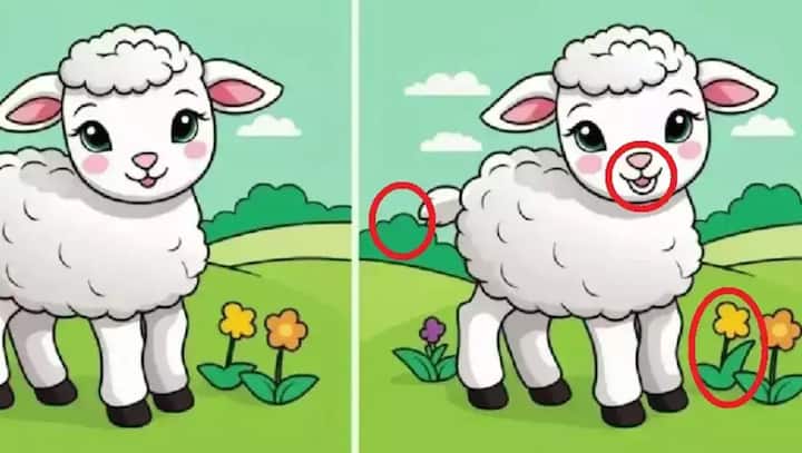 अगर आप भी इस सवाल का हल नहीं निकाल पाए तो हम आपको सही जवाब बता रहे हैं.